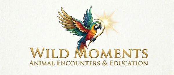WILD moments AT
