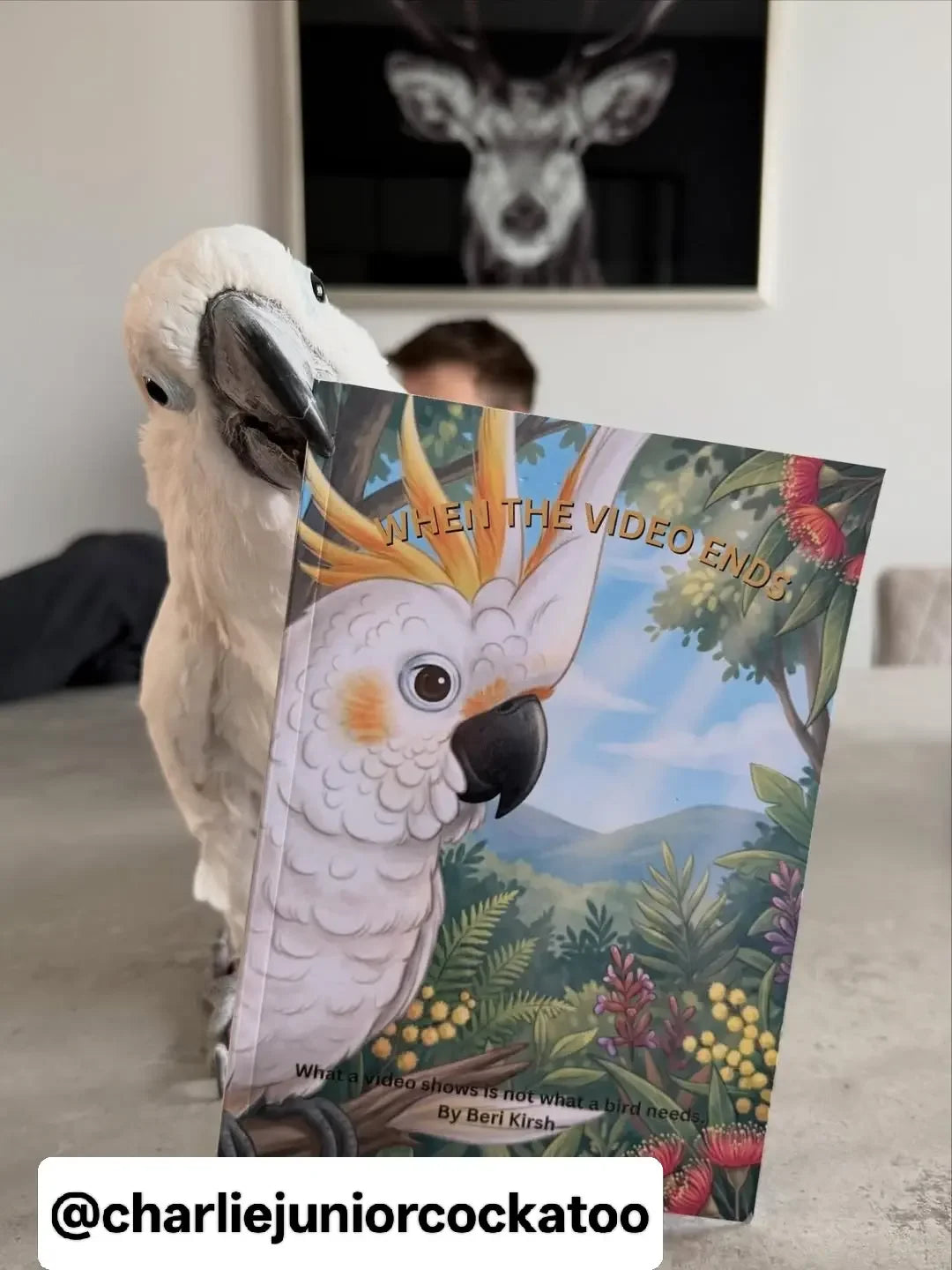 English children's book "When the Video Ends" by WILD Moments. An educational story featured by @charliejuniorcockatoo about the reality of living with a parrot beyond social media clips.